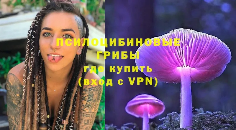 купить  сайты  мега ONION  Псилоцибиновые грибы Psilocybe  Высоцк 